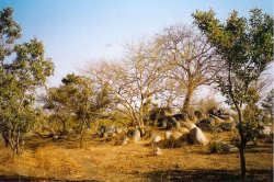 Die Piste nach Bamb&eacute;la
