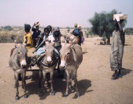 Dorfbewohner beim Stein- und Sandtransport f&uuml;r die Schule