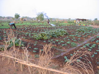 Gem&uuml;segarten am Senegal