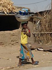 W&auml;schetransport