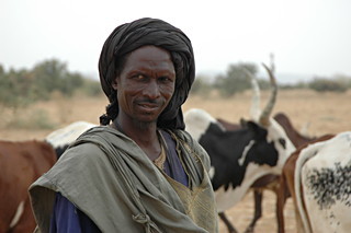 Nomade mit seiner Herde